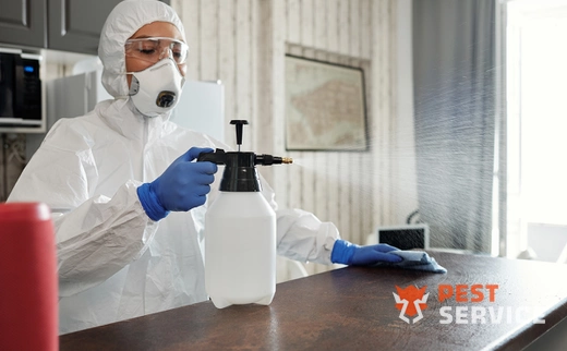 Дезинфекция в Дмитровграде