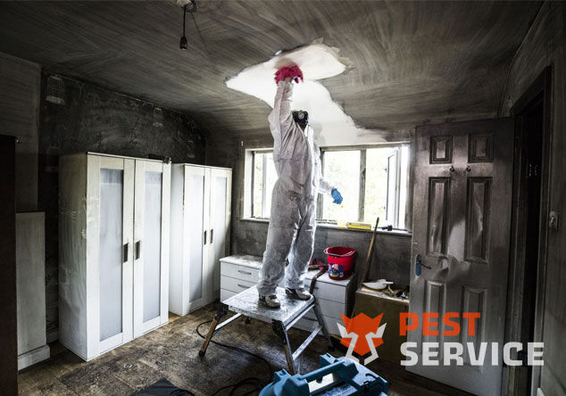 Профессиональная уборка помещений после пожара в Дмитровграде от 2500 руб: удаление сажи, копоти и запаха гари, глубокая очистка поверхностей и восстановление чистоты. Быстро, безопасно и эффективно.